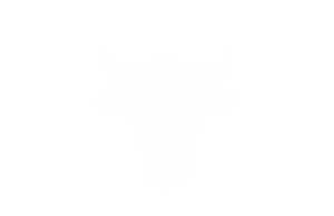 beef_cattle